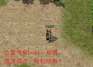 洫boss㣬ȡʤ
