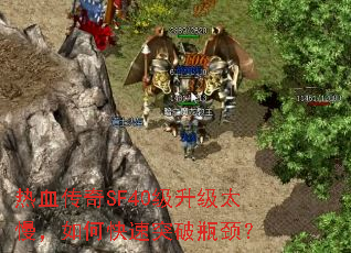 ѪSF40̫οͻƿ
