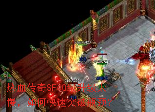 ѪSF40̫οͻƿ