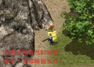 ˽BOSSʸߣĪǰ