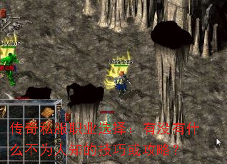 ˽ְҵѡûʲôΪ֪ļɻԣ