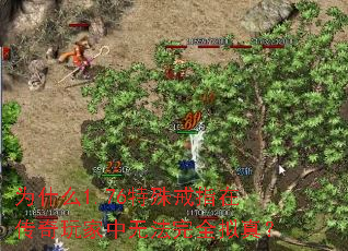 为什么1.76特殊戒指在传奇玩家中无法完全拟真? 为什么1.76特殊戒指在传奇玩家中无法完全拟真?