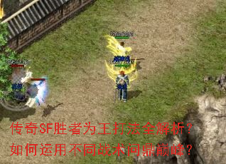 SFʤΪȫòͬսʶ۷壿