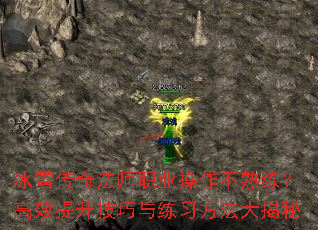ѩ淨ʦְҵЧϰ
