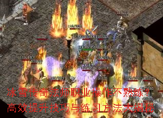 ѩ淨ʦְҵЧϰ