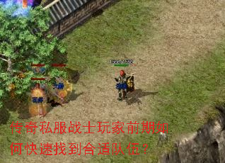 ˽սʿǰοҵʶ飿