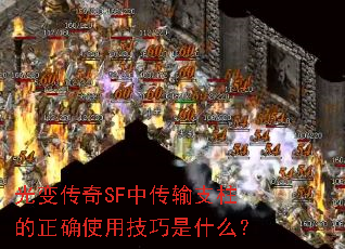 䴫SFд֧ȷʹüʲô