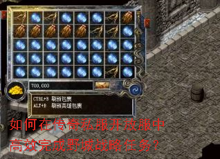 如何在传奇私服开放服中高效完成野城战略任务? 如何在传奇私服开放服中高效完成野城战略任务?