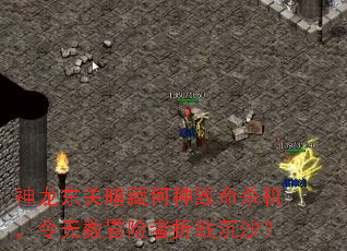 神龙东关暗藏何种致命杀机,令无数冒险者折戟沉沙? 神龙东关暗藏何种致命杀机,令无数冒险者折戟沉沙?