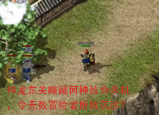 神龙东关暗藏何种致命杀机,令无数冒险者折戟沉沙? 神龙东关暗藏何种致命杀机,令无数冒险者折戟沉沙?