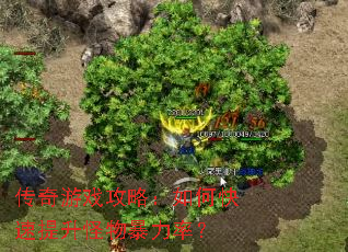 传奇游戏攻略:如何快速提升怪物暴力率? 传奇游戏攻略:如何快速提升怪物暴力率?