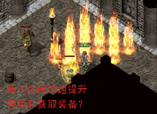 新手如何快速提升等级和获取装备? 新手如何快速提升等级和获取装备?