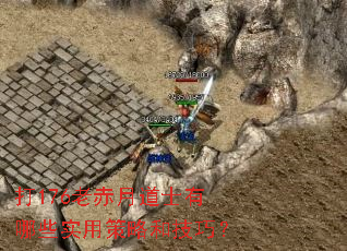 打176老赤月道士有哪些实用策略和技巧? 打176老赤月道士有哪些实用策略和技巧?