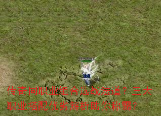 传奇同职业组合选战法道?三大职业搭配优劣解析助你称霸? 传奇同职业组合选战法道?三大职业搭配优劣解析助你称霸?