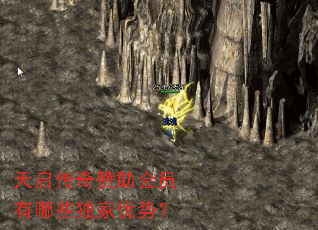 ��������������Ա����Щ�������ƣ�