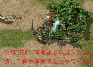 传奇游戏中有哪些必试趣味玩法与实用技巧?新手如何快速上手与高效升级? 传奇游戏中有哪些必试趣味玩法与实用技巧?新手如何快速上手与高效升级?