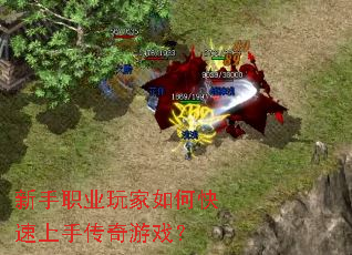 新手职业玩家如何快速上手传奇游戏? 新手职业玩家如何快速上手传奇游戏?