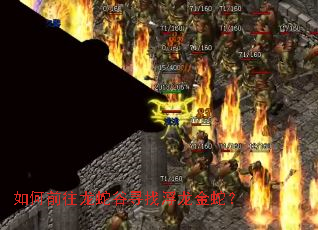 如何前往龙蛇谷寻找浮龙金蛇? 如何前往龙蛇谷寻找浮龙金蛇?