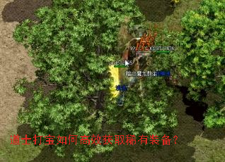 道士打宝如何高效获取稀有装备? 道士打宝如何高效获取稀有装备?