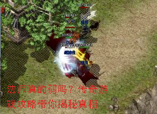 法师真的弱吗?传奇游戏攻略带你揭秘真相 法师真的弱吗?传奇游戏攻略带你揭秘真相