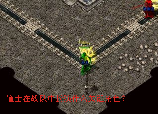 道士在战队中扮演什么关键角色? 道士在战队中扮演什么关键角色?