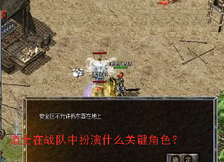 道士在战队中扮演什么关键角色? 道士在战队中扮演什么关键角色?