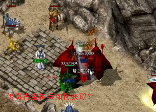 ����ű������λ�ȡ��