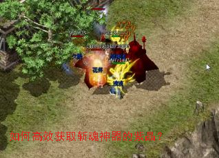 ��θ�Ч��ȡն���������Ͼ���