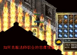 ��ο˷���ʦְҵ�ı�ʹ������