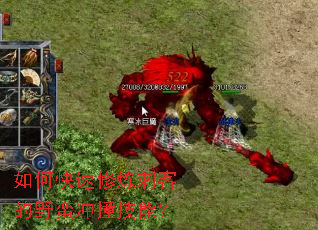 ��ο��������̿͵�Ұ����ײ���ܣ�