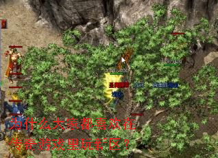 Ϊʲô��Ҷ�ϲ���ڴ�����Ϸ����������