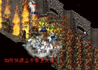 ��ο������ֵ���������