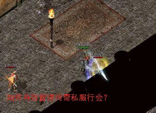 �����Ч��������˽���л᣿