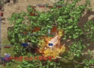 ��ο�����ɴ���ת����