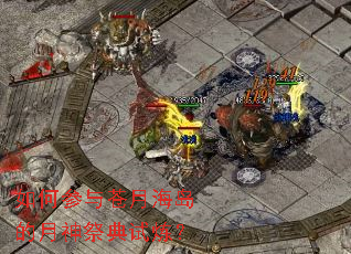 ��β�����º������������������