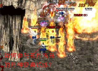 ��β�����º������������������