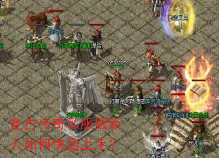 ���Ŵ���˽����������ο������֣�