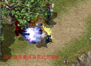 ���ѡ�����ʺ��Լ���ְҵ��