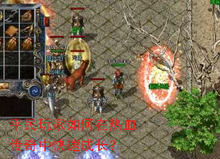 ƽ������������Ѫ�����п��ٳɳ���