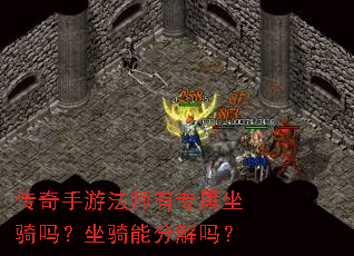 �������η�ʦ��ר�������������ֽܷ���