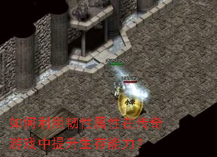 ����������������ڴ�����Ϸ����������������