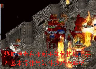 ��Ѫ����˽��������ο������֣�����������ս������ȫ����