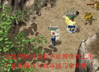 ��Ѫ����˽��������ο������֣�����������ս������ȫ����