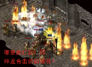 哪里能打到1.85神龙合击的回城卷? 哪里能打到1.85神龙合击的回城卷?