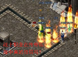 战士职业在传奇私服中真的很弱吗? 战士职业在传奇私服中真的很弱吗?