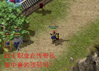 战士职业在传奇私服中真的很弱吗? 战士职业在传奇私服中真的很弱吗?