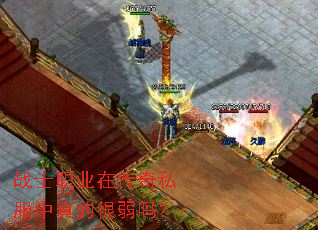 战士职业在传奇私服中真的很弱吗? 战士职业在传奇私服中真的很弱吗?