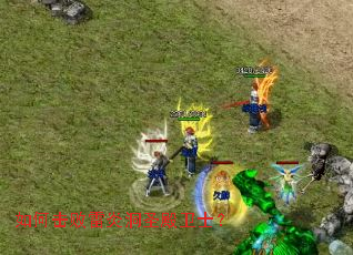 如何击败雷炎洞圣殿卫士? 如何击败雷炎洞圣殿卫士?