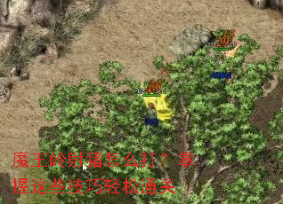 魔王岭射猪怎么打?掌握这些技巧轻松通关 魔王岭射猪怎么打?掌握这些技巧轻松通关