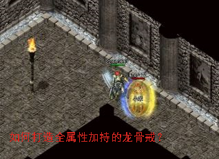 如何打造全属性加持的龙骨戒? 如何打造全属性加持的龙骨戒?